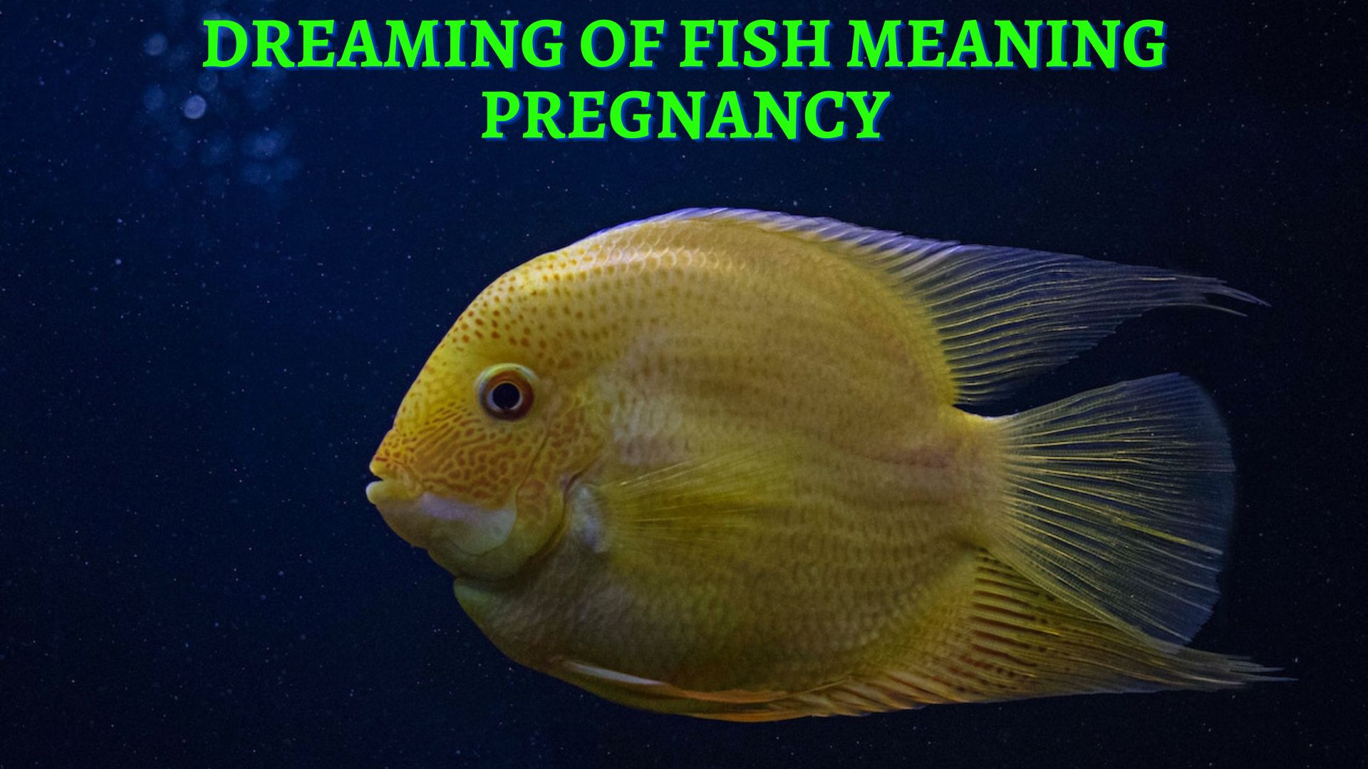 Dreaming Of Fish Meaning Pregnancy - A Sign Of Good Health And Vitality