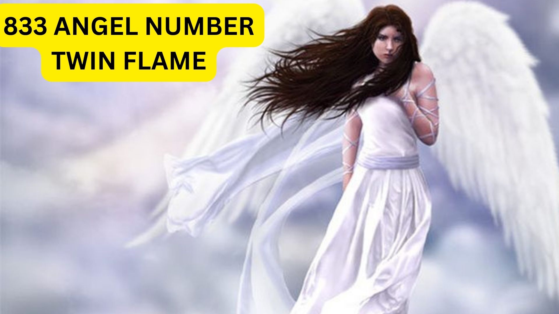833 Angel Number Twin Flame - A Sign That Blessings Will Overflow