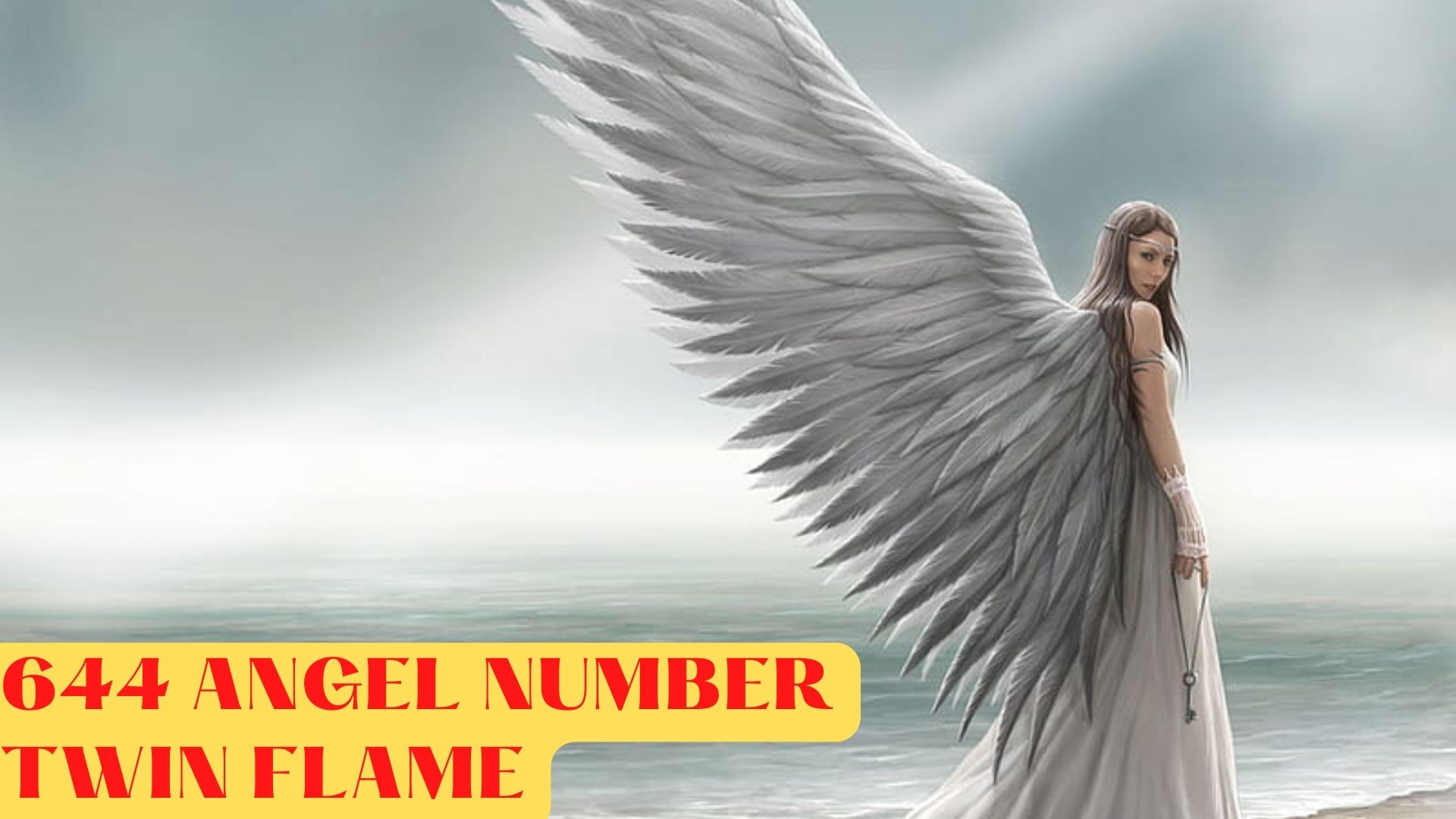 644 Angel Number Twin Flame - A Sign Of Hope And Warning
