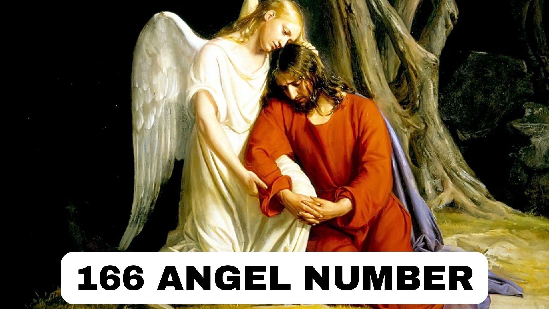 166 Angel Number - Symbolizes Love, Home And Family