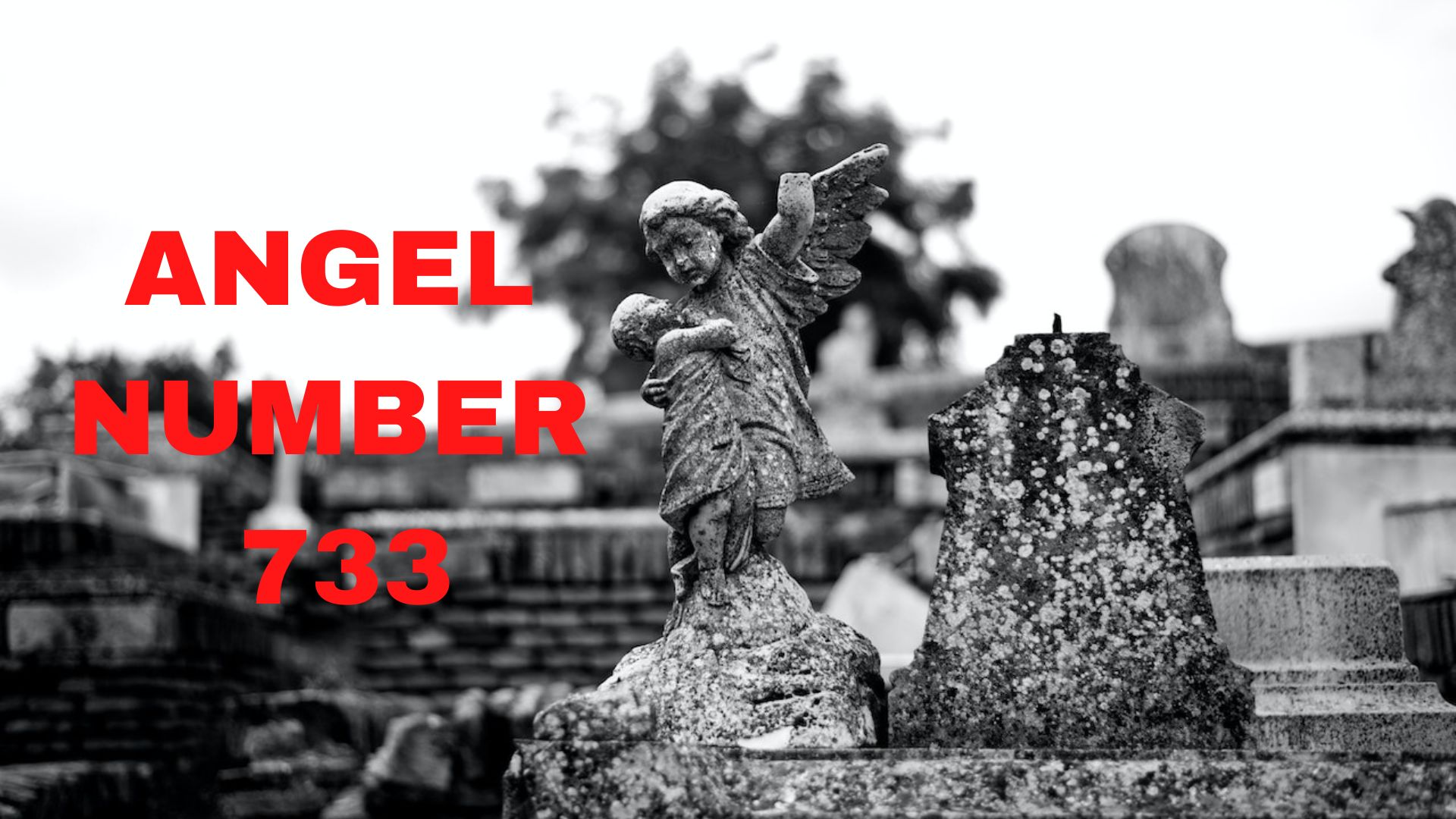Angel Number 733 - A Symbol Of Peace