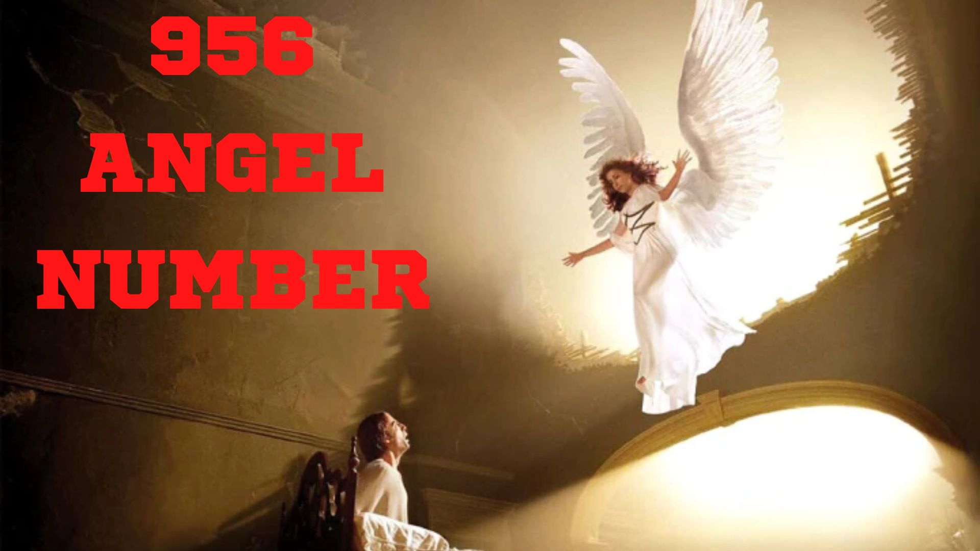 956 Angel Number - A Message Of Maturity & Wisdom