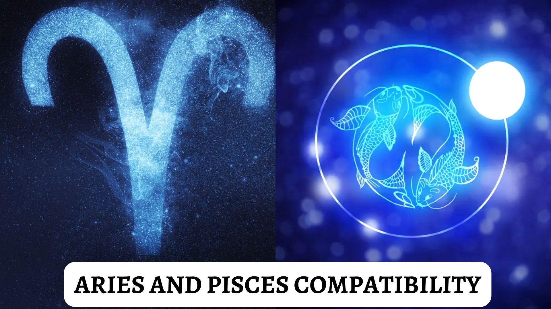 Aries And Pisces Compatibility - Very Compatible In Friendship