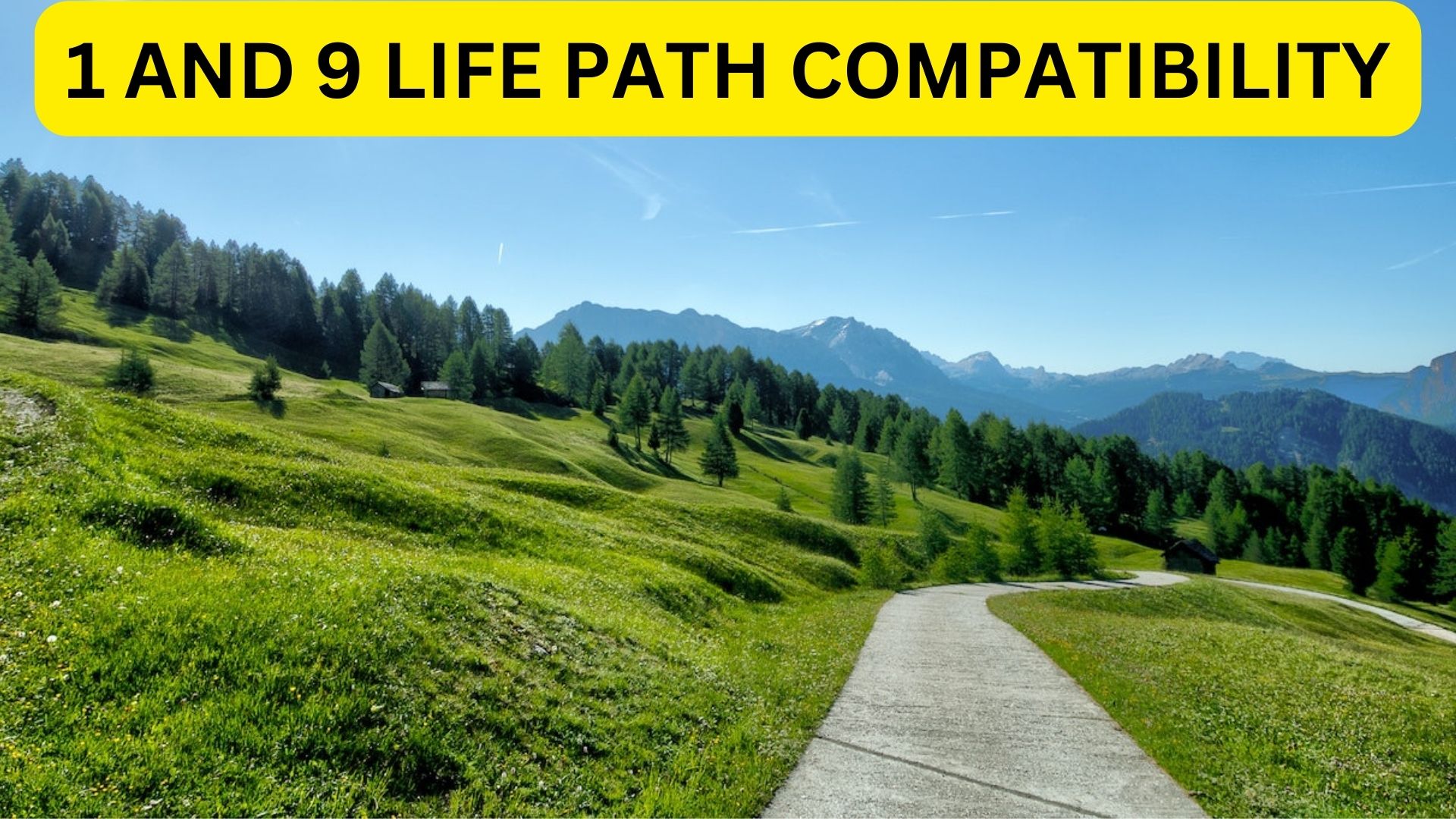 1 And 9 Life Path Compatibility - A Rock-solid Combination
