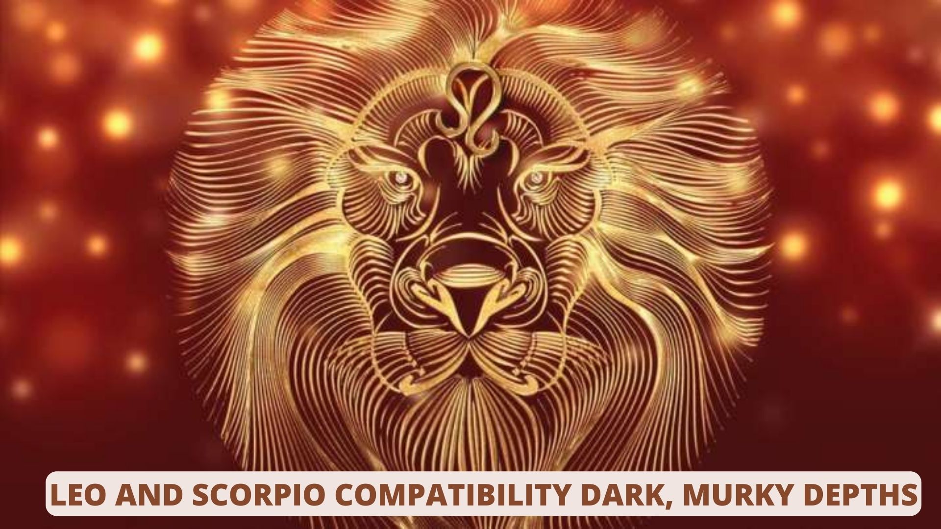 Leo And Scorpio Compatibility In Sex, Love, And Life