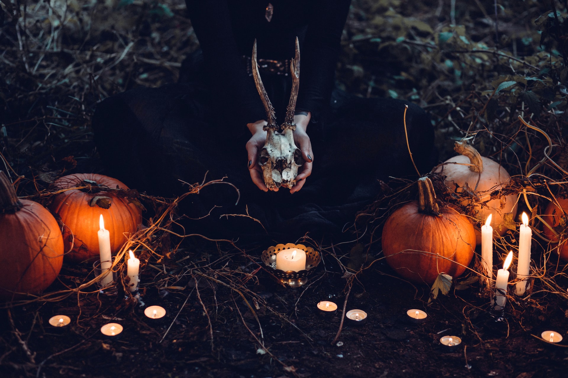 A person holding a cattle skull surrounded by squash and candles