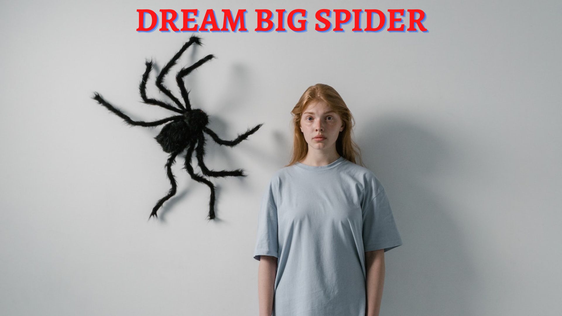 Dream Big Spider Signifies Success