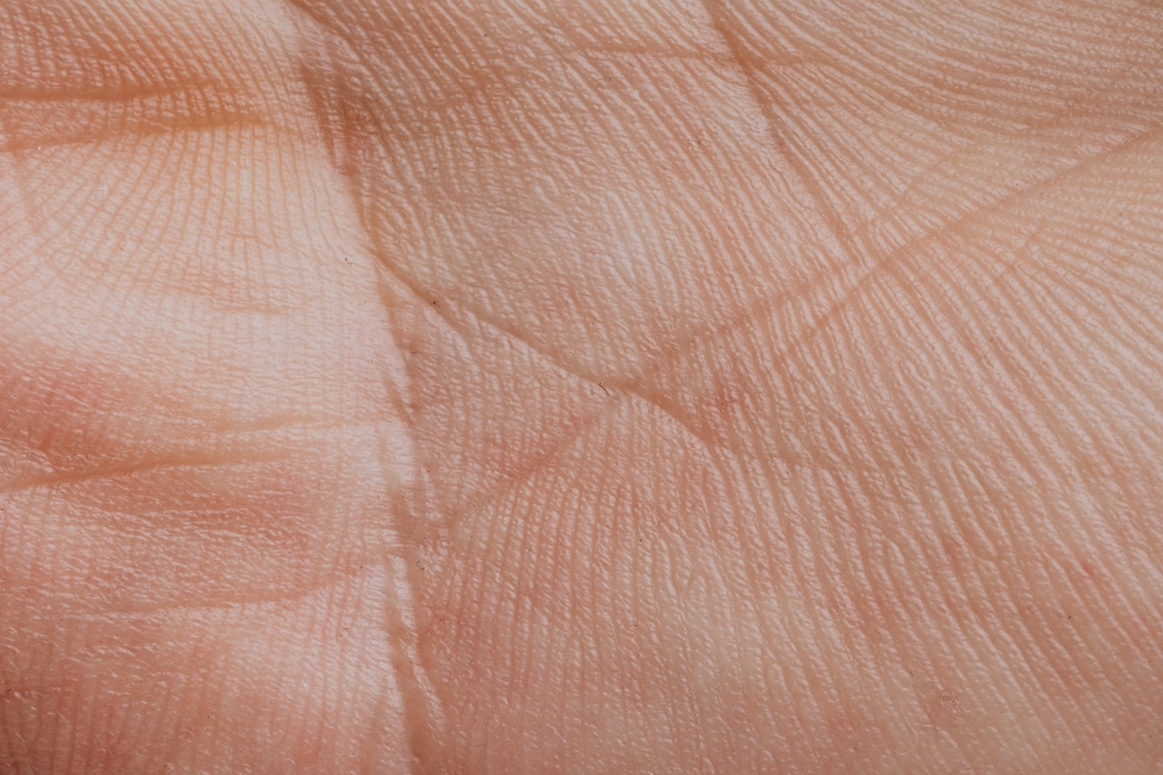 Extreme Close-up View Of A Human Palm