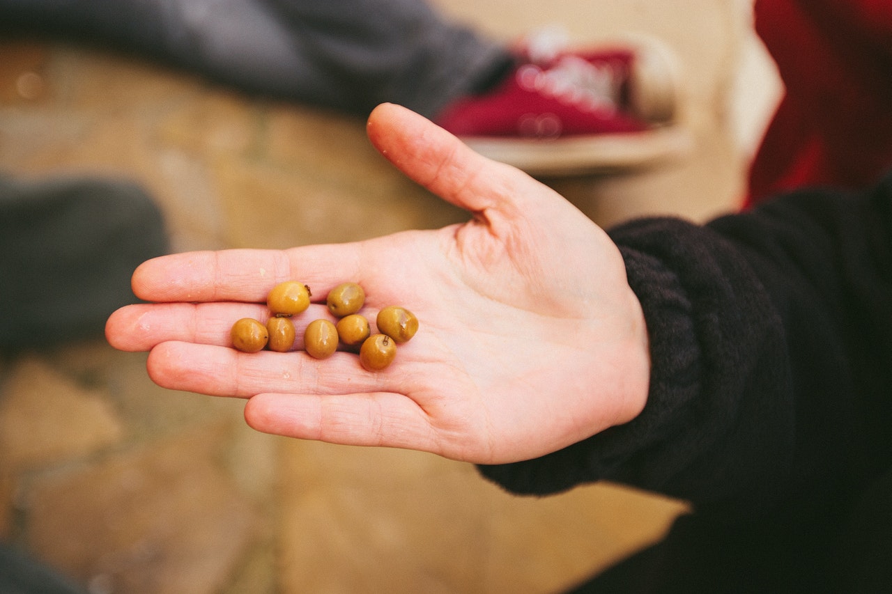 Hand of Person with Olives
