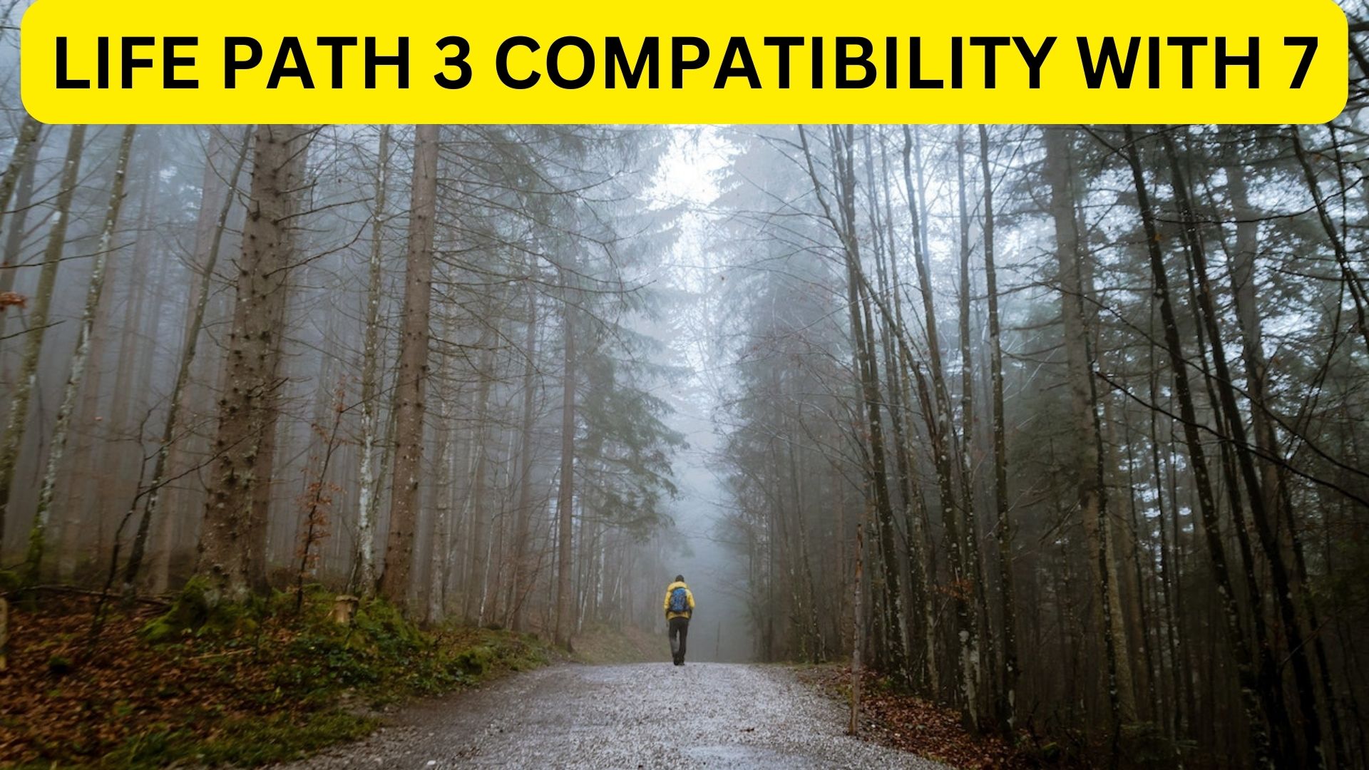 Life Path 3 Compatibility With 7 - What It Means For You?