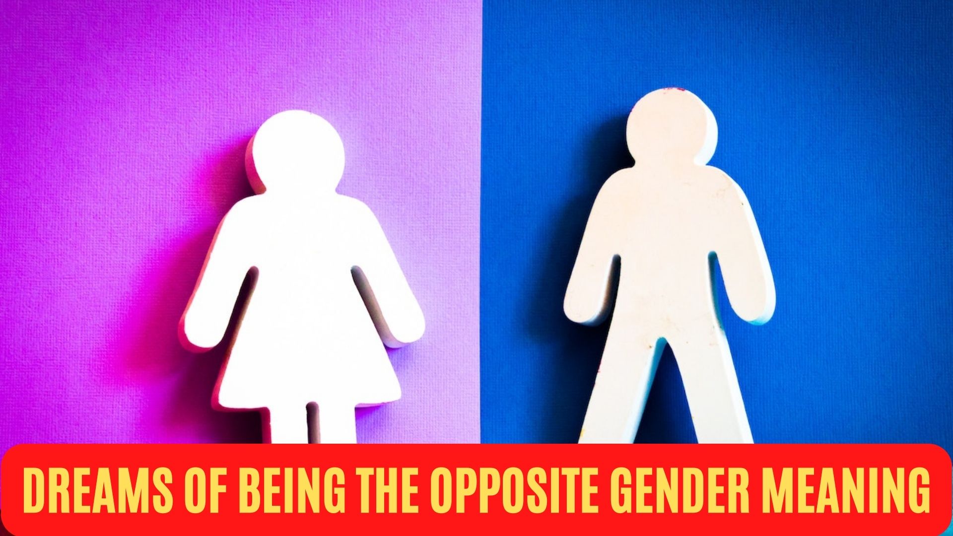 Dreams Of Being The Opposite Gender Meaning Stands For Your Culture And Tradition