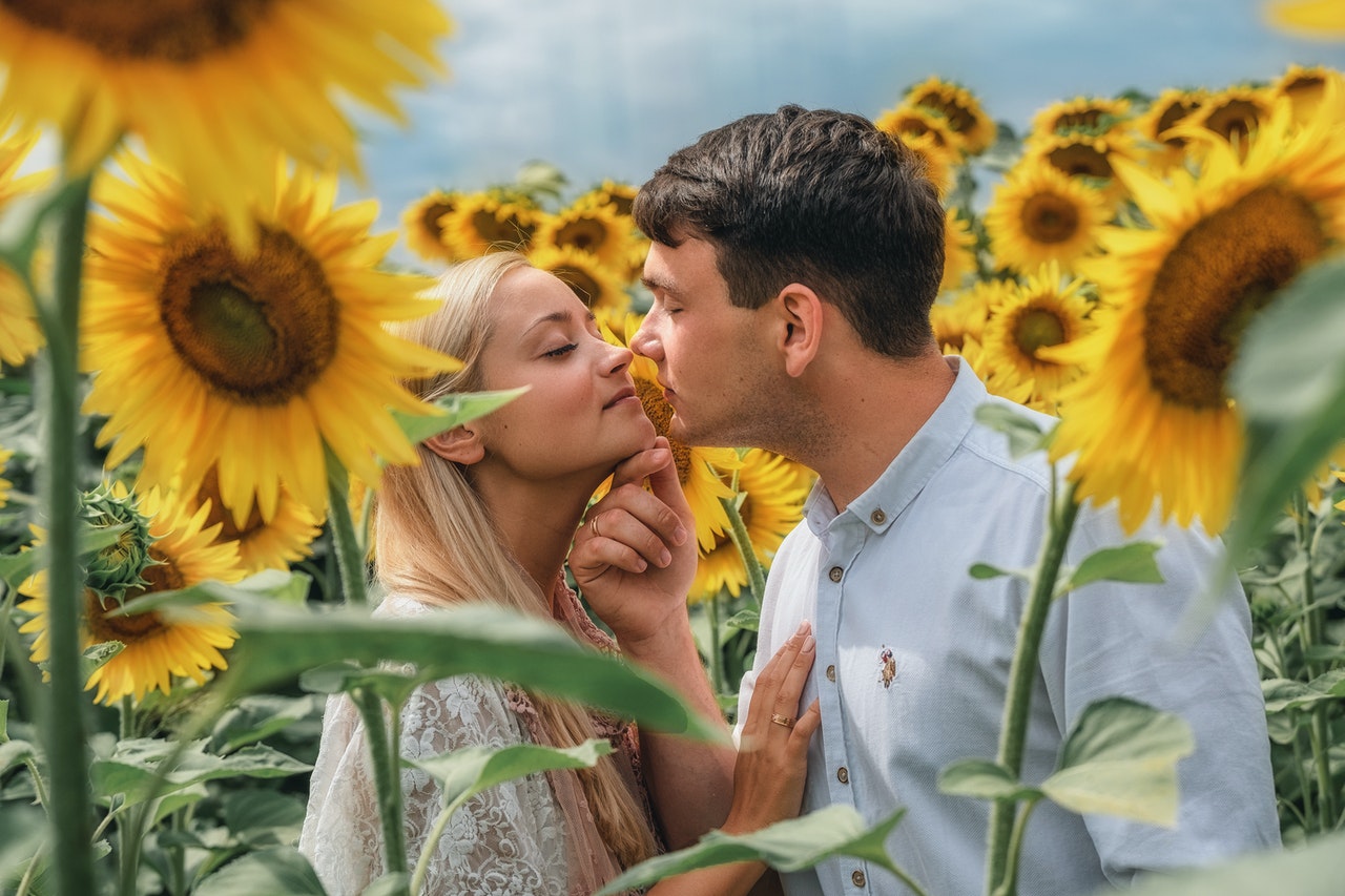 Loving couple almost kissing on sunflower field