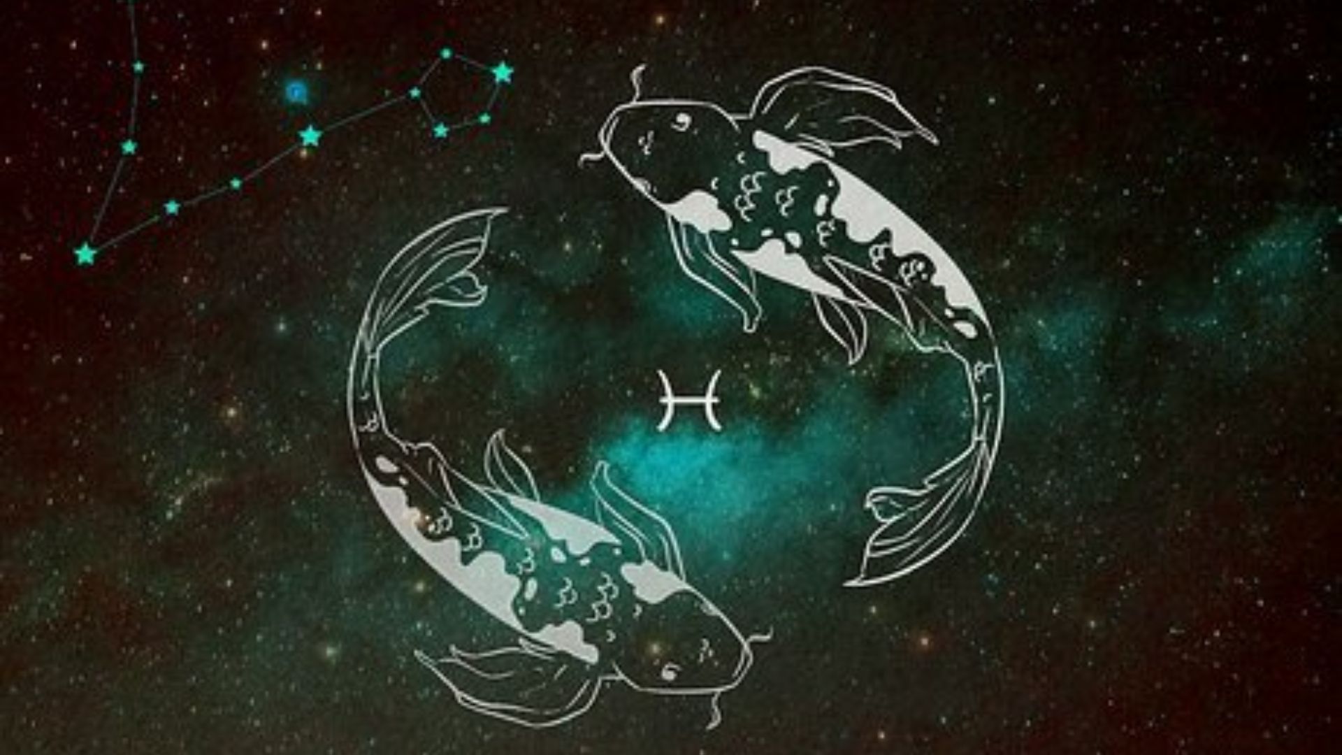 Two Koi Fishes Swimming In Circles