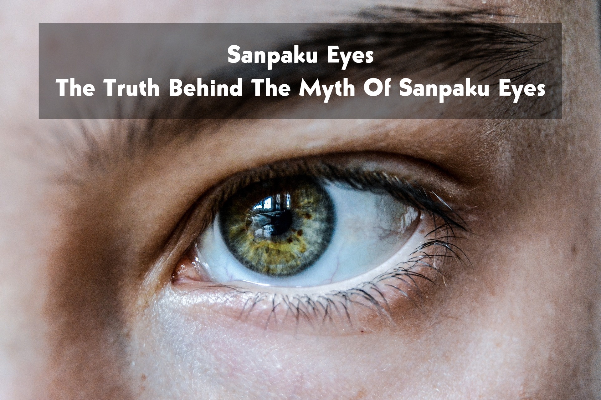 Sanpaku Eyes - The Truth Behind The Myth Of Sanpaku Eyes