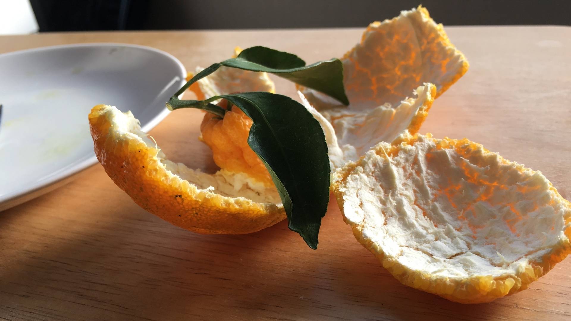Orange peels on top of a wooden table