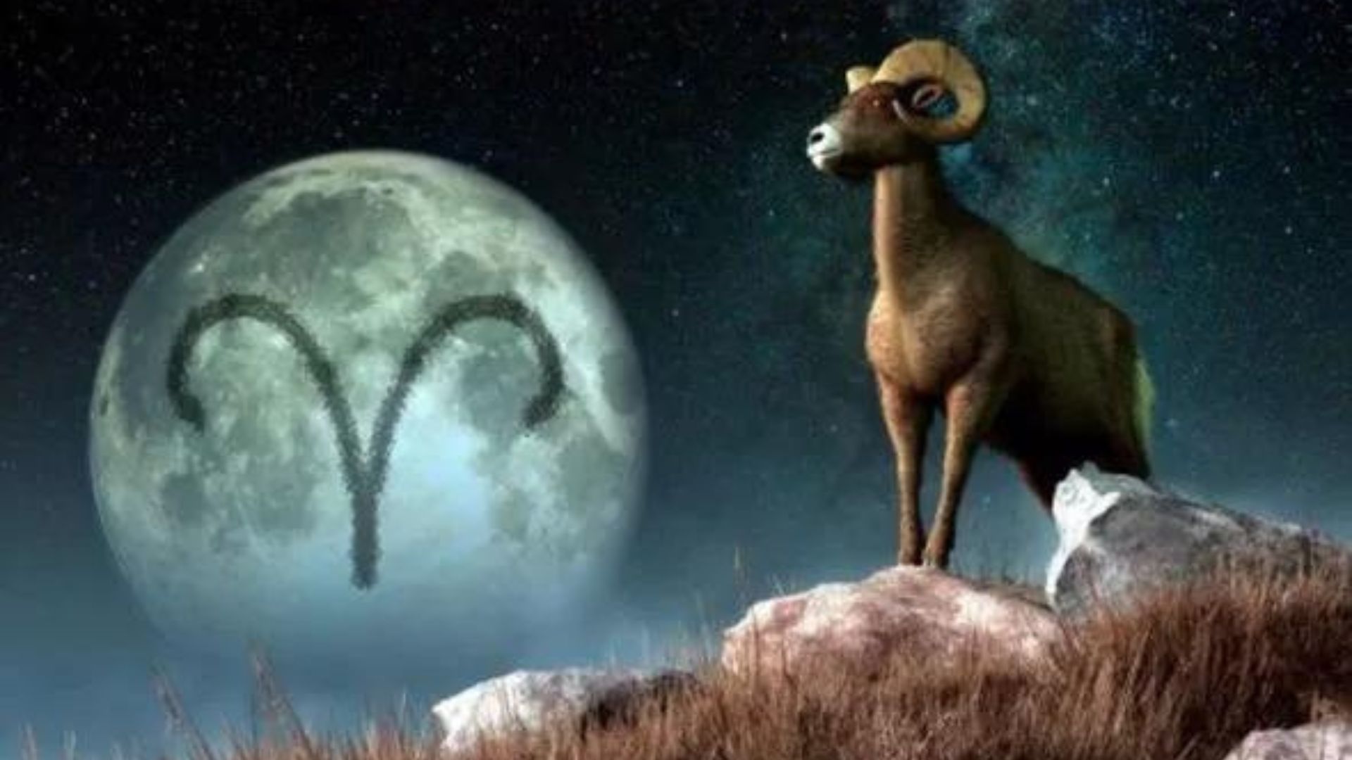Zodiac Sign On Moon And Animal On A Rock