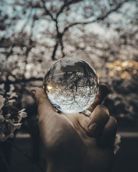 Psychology (suggestion: hand holding glass ball with reflection of tree with pink flowers)