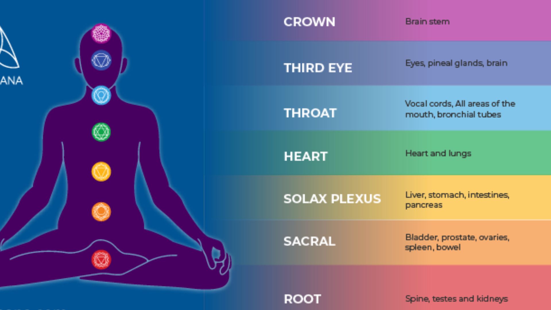 Chakra Color Meanings - Understanding The Significance Of Each Color