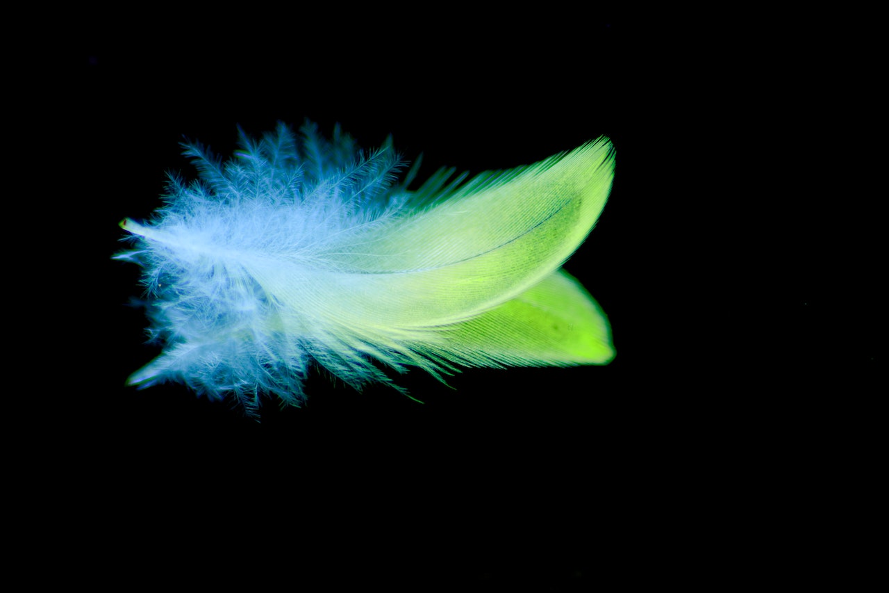 Feather Spiritual Meaning - A Connection To The Divine