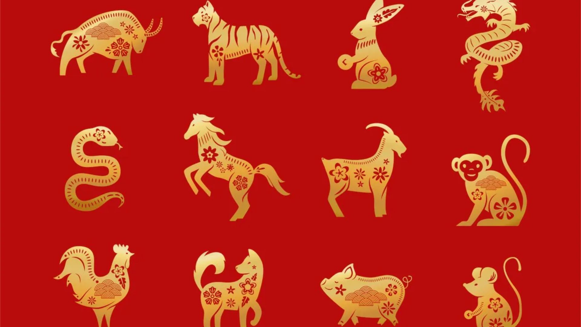 Zodiac Signs In Red Background
