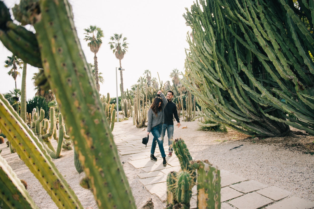 Man and Woman Walking on Pathway Surrounded With Cacti