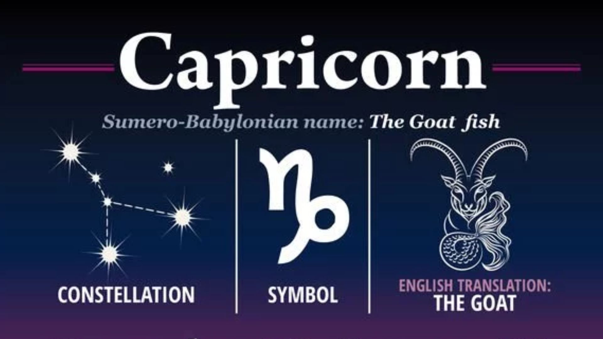 Capricon Zodiac Sign And Animal