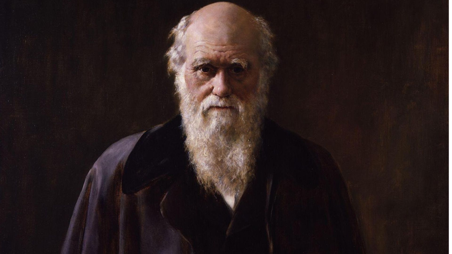 Charles Darwin With A Big Beard