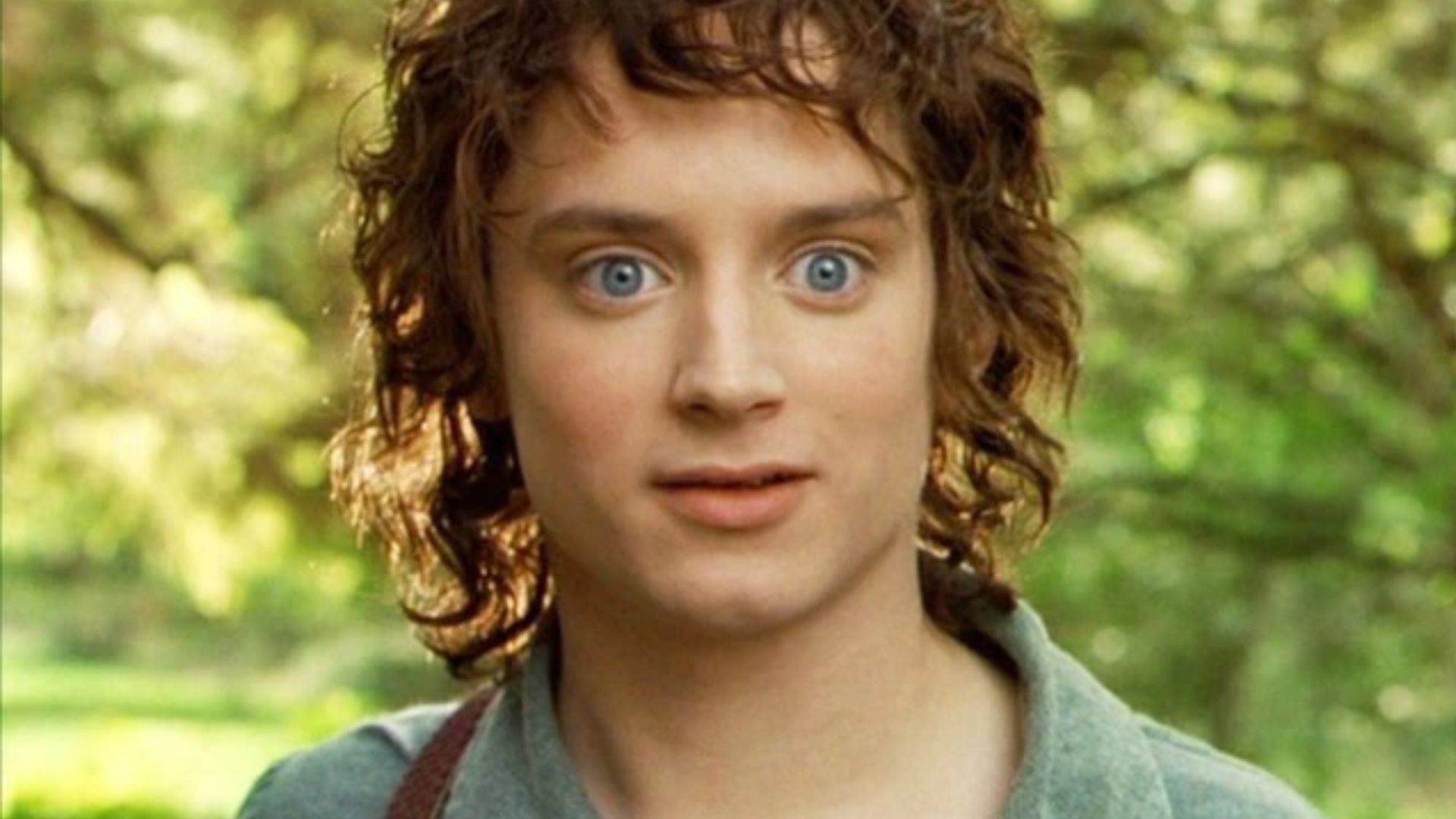 Elijah Wood With Surprised Expressions
