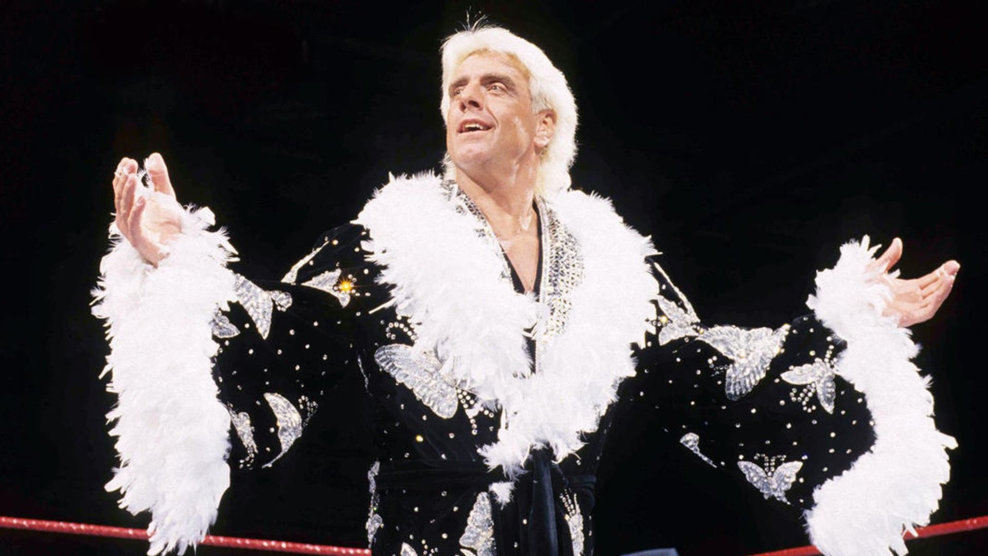 Rick Flair Hands Wide Spreaded