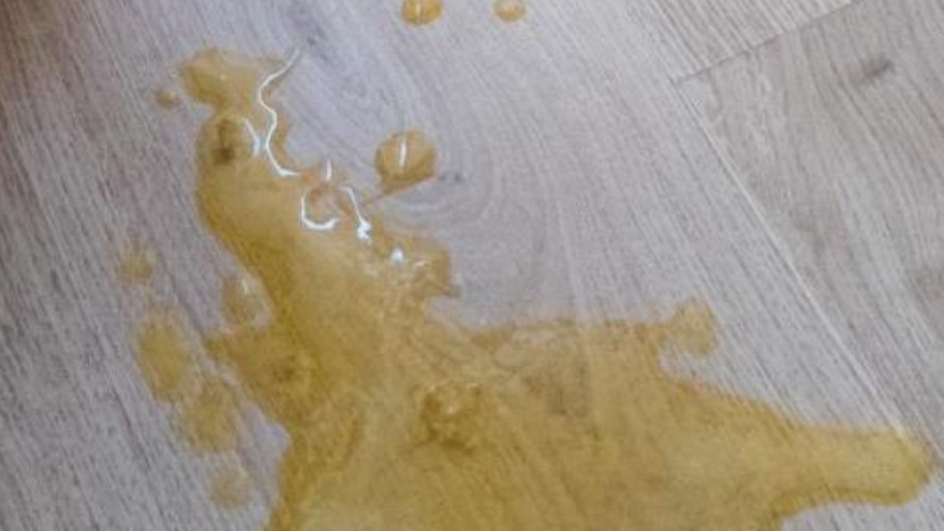 Liquid On Wooden Floor