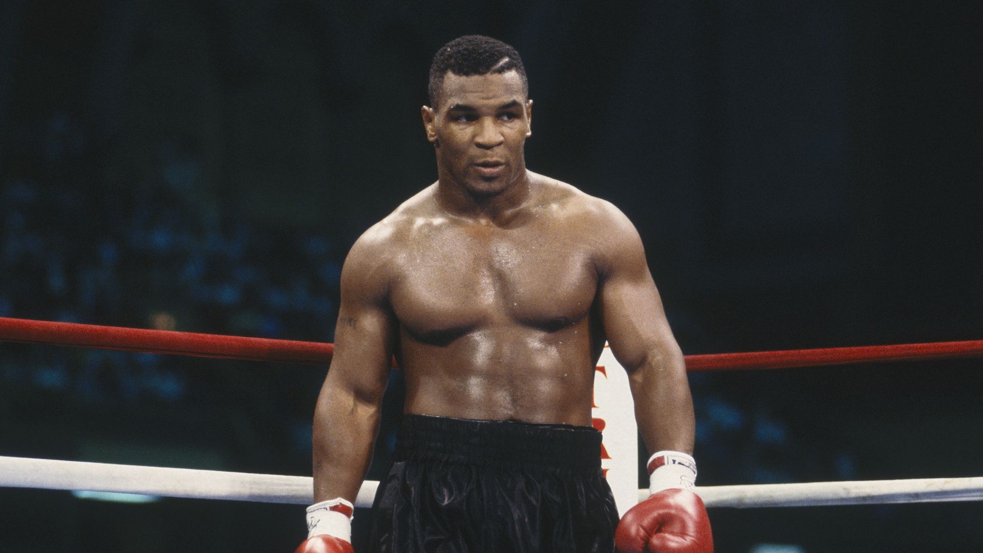 Mike Tyson Standing In Ring