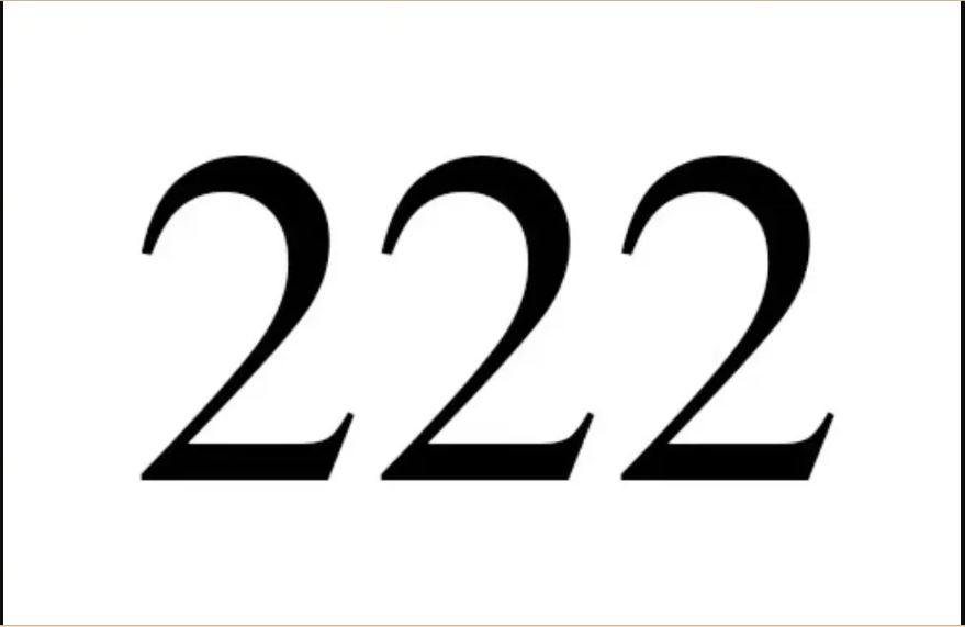 The number 222 written in black on a white background