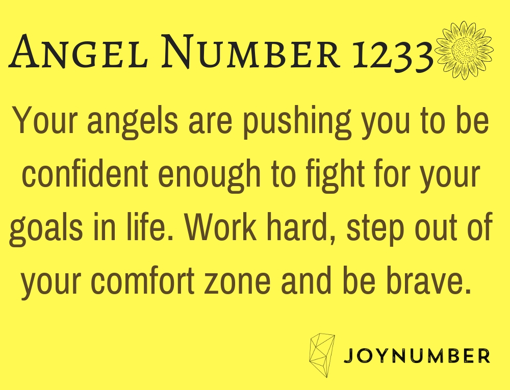 1233 angel number love