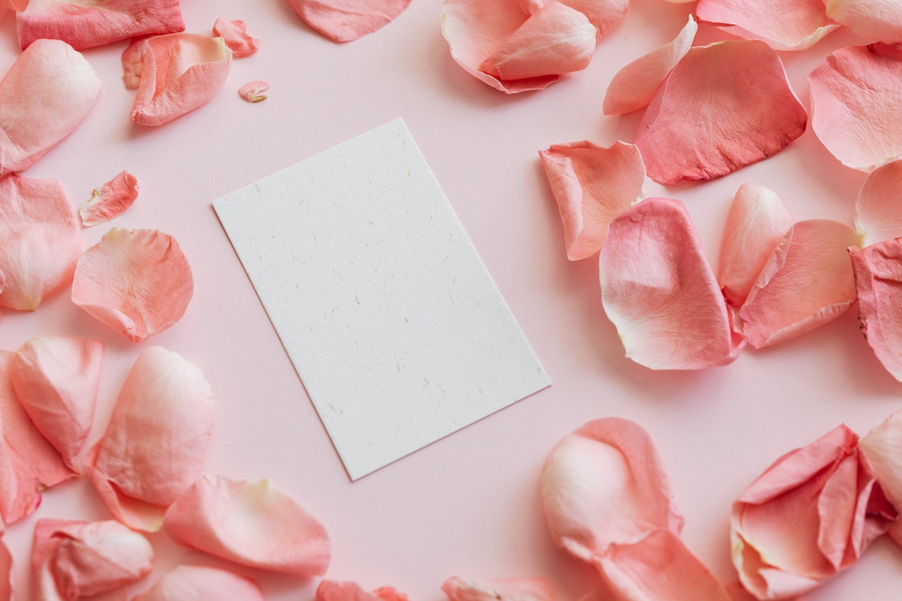 Paper Sheet Among Petals Of Rose