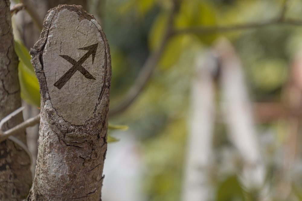Branch Engraved with a Saggitarius Zodiac Sign.