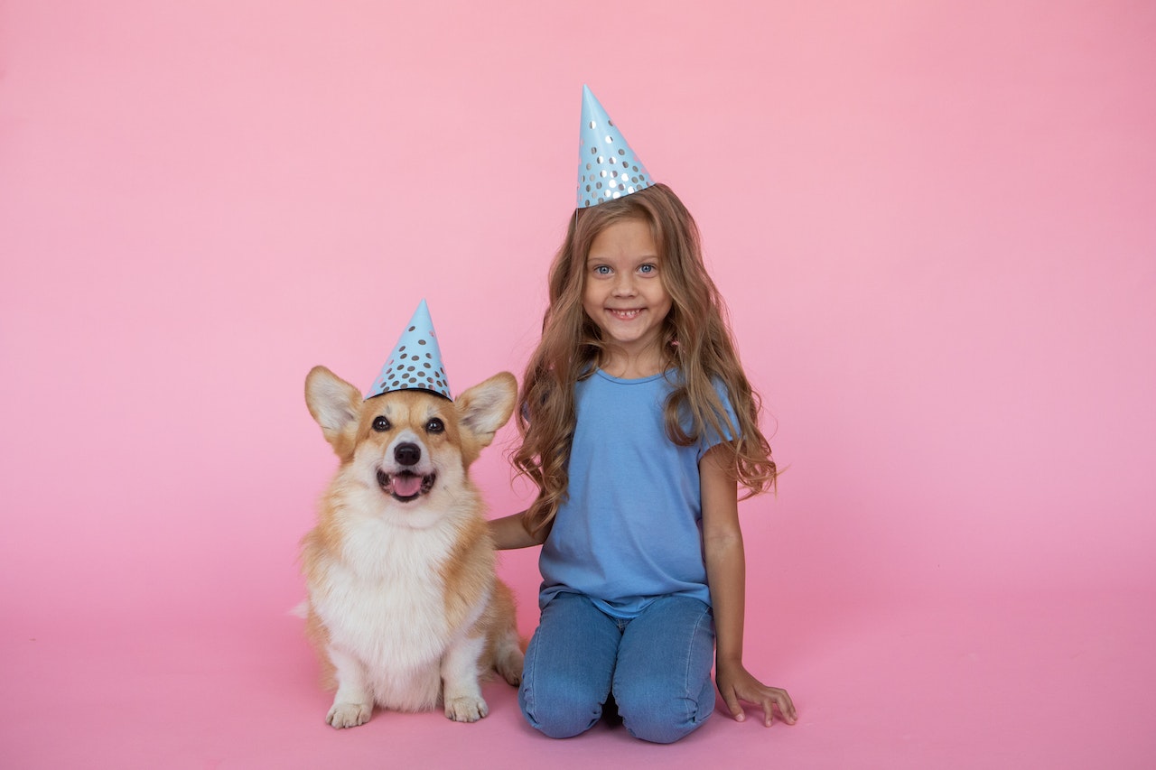 Little Girl and a Corgi Dog in Birthday Hats